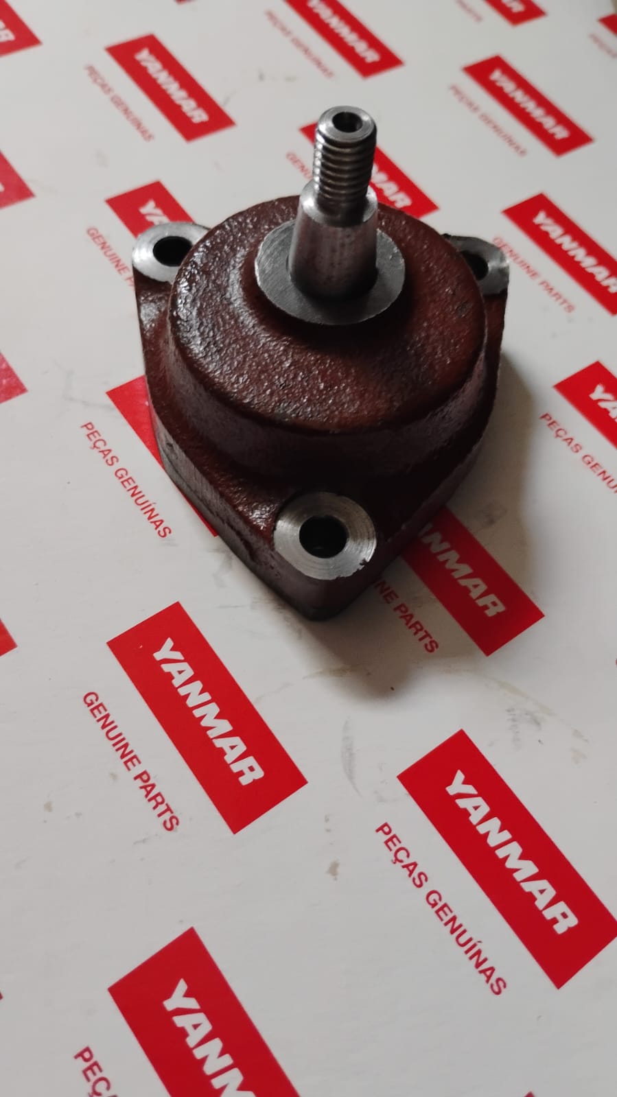 BOMBA DE OLEO LUBRIFICANTE, COMPL