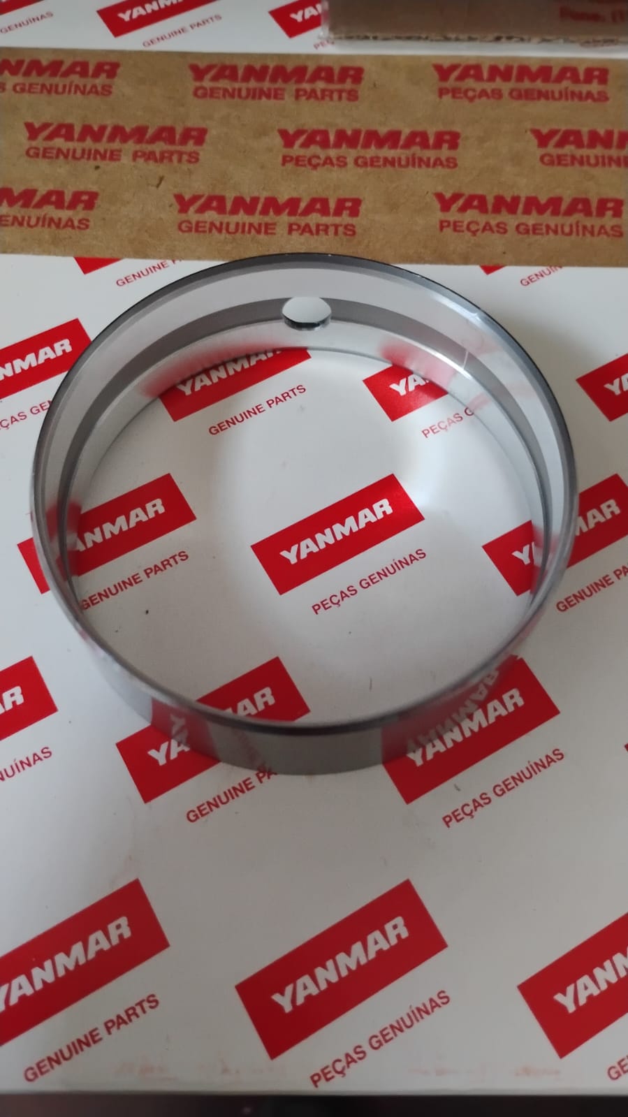 MANCAL DO VIRABREQUIM (BT22.02110)