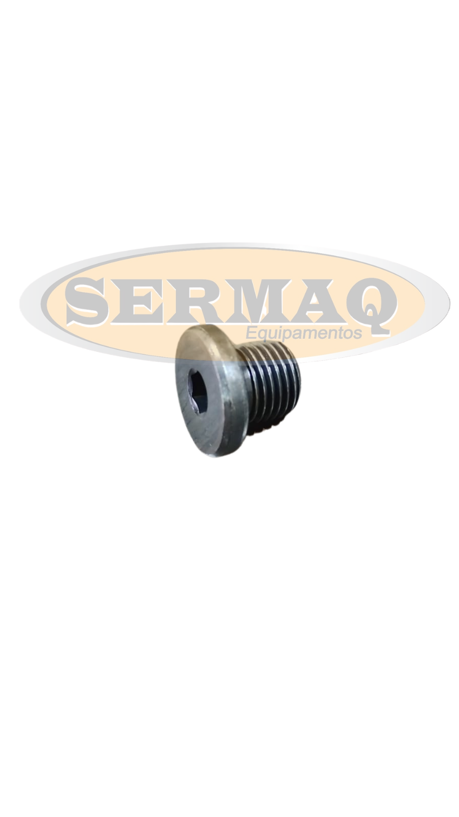 PLUG ROSCADO DO MOTOR DE TRACAO