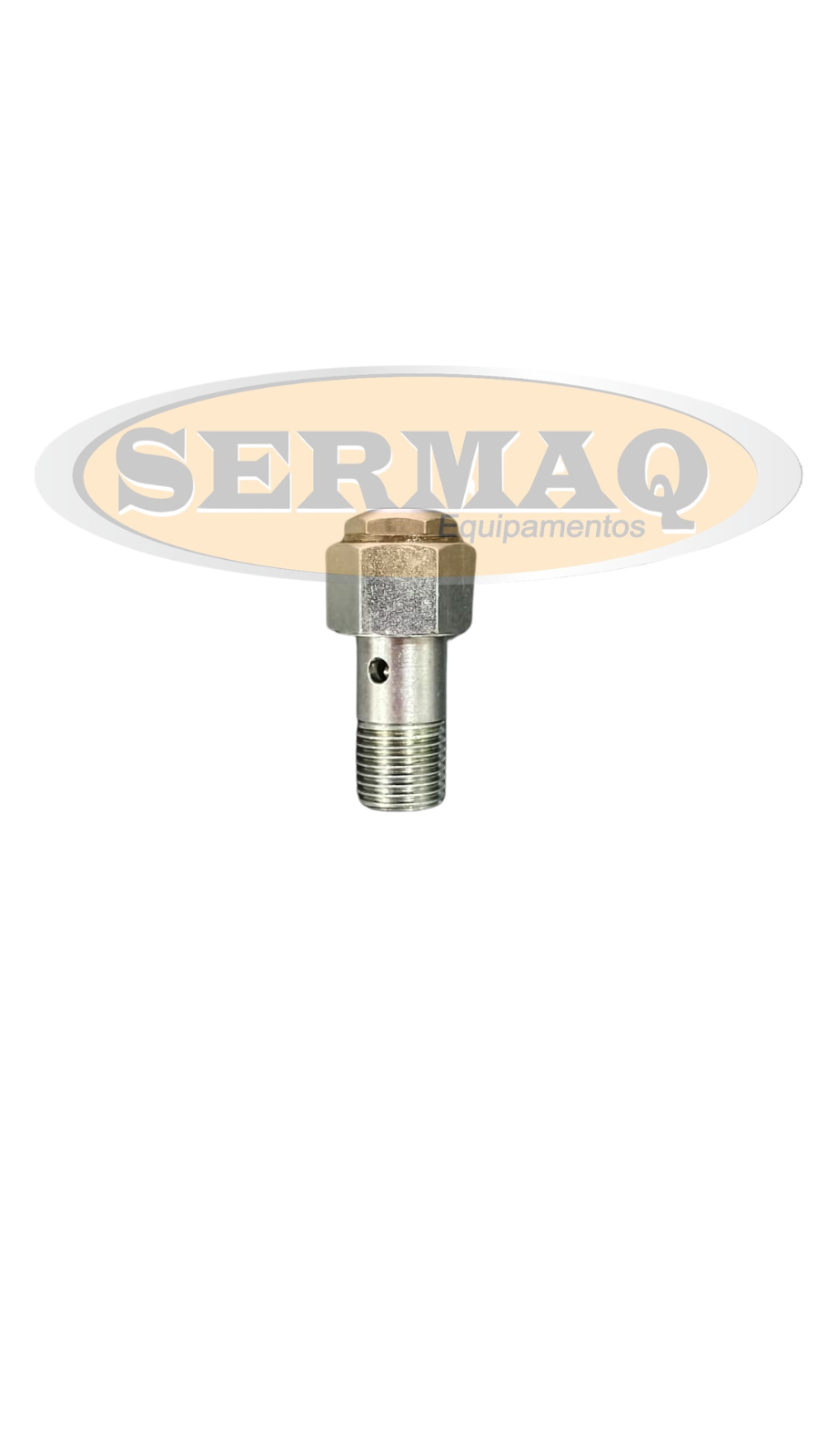 VALVULA DE RETENCAO DO MOTOR DIESEL 3-4T ...