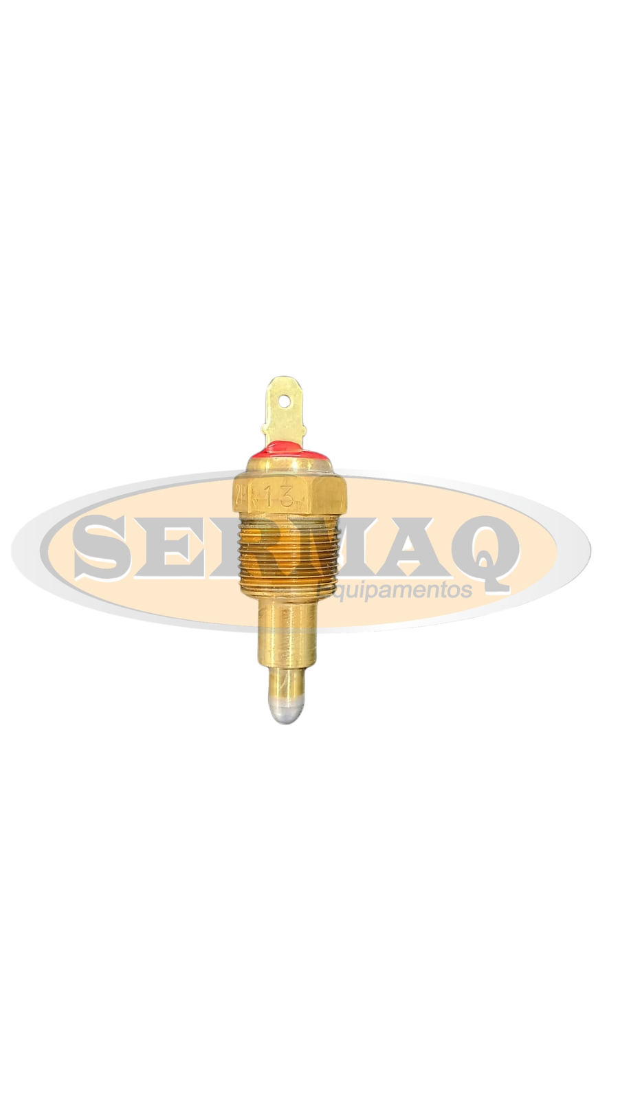 SENSOR DE TEMPERATURA DO MOTOR
