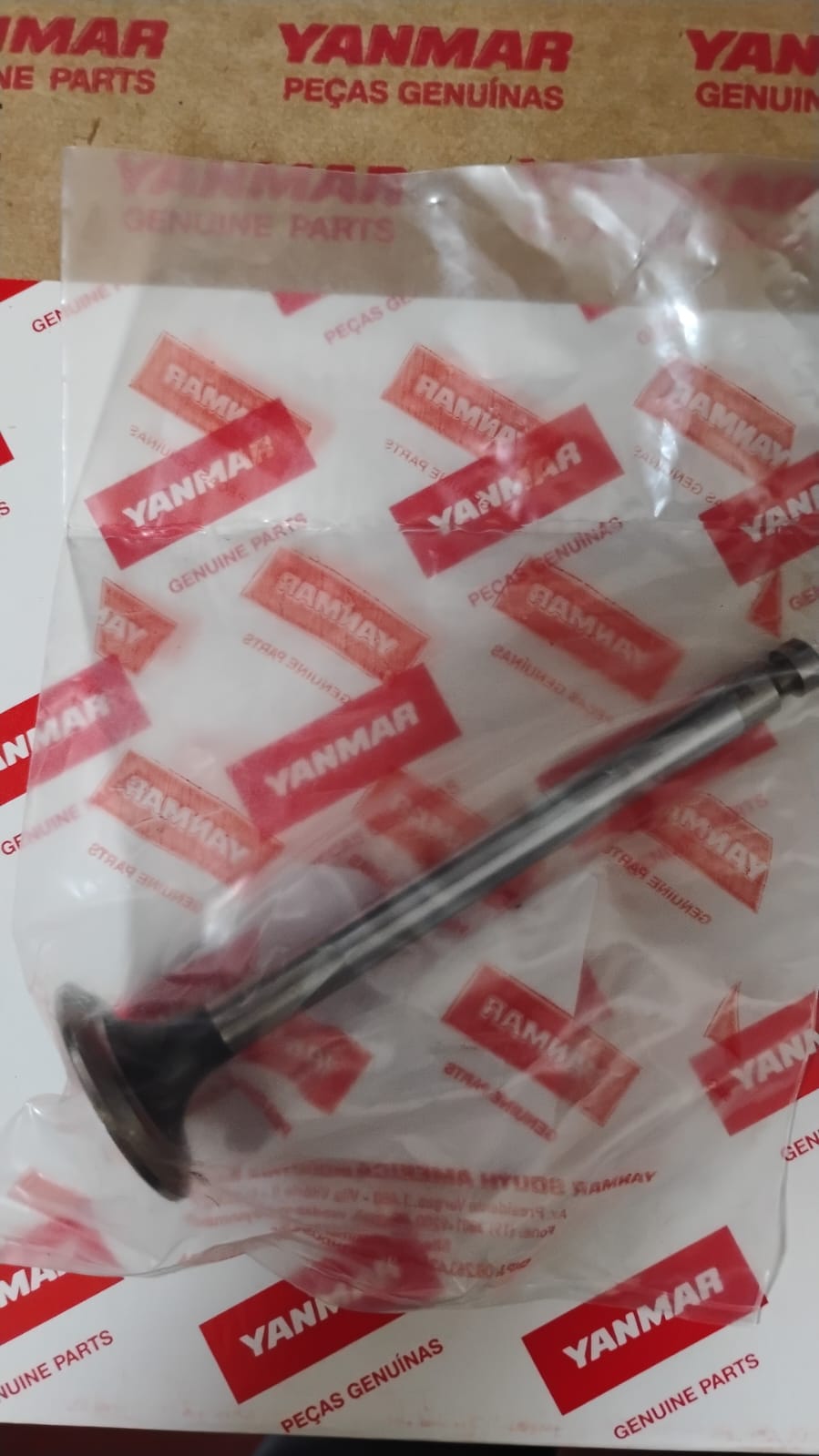 VALVULA DE ESCAPE DO MOTOR BTD40 (AV-721)